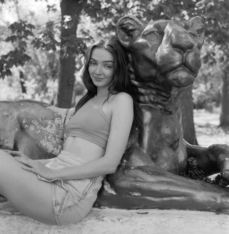 Wild Catsphoto preview