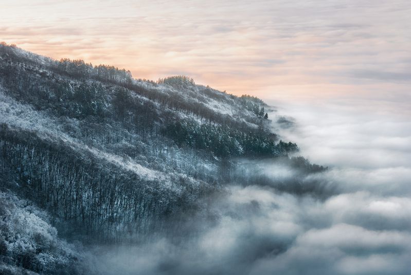 #goldenhour, #landscape, #sunrise Foggy Morningphoto preview