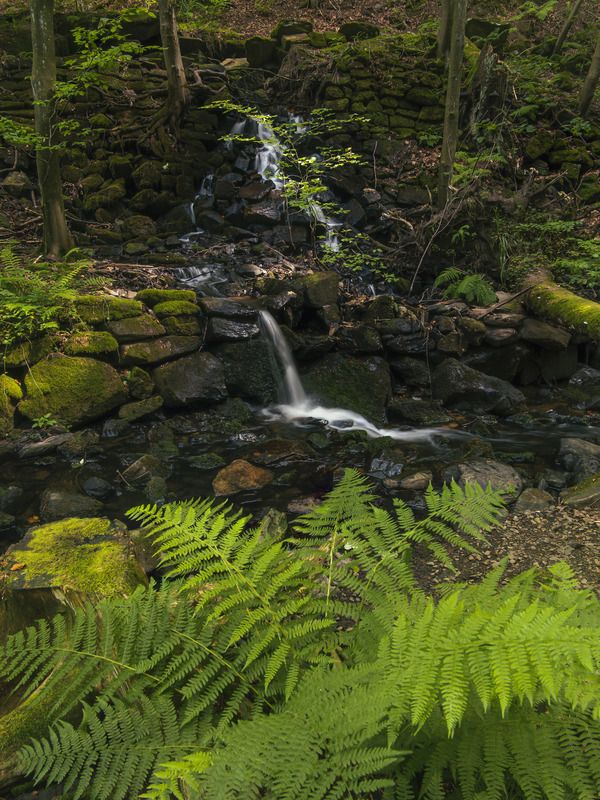 czech,czechia,lusatian,forest,waterfall,water,woodscape Small waterfall in the forestphoto preview