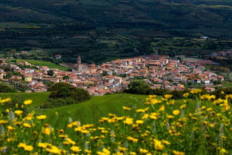 Sardiniaphoto preview