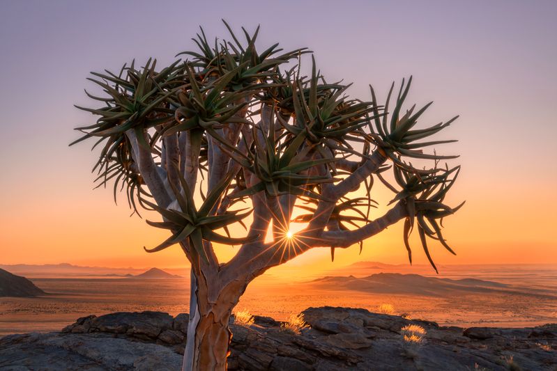 worldphototravels,  mikereyfman,  naturephotography,  photoworkshop,  safari,  photosafari,  photography,  wildlife,   wildlifephotography,  nature Sundown at God\\\'s Windowphoto preview