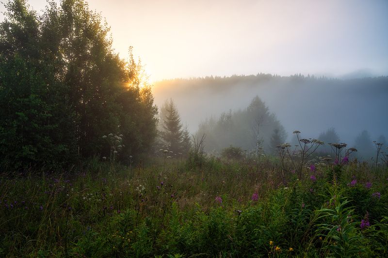 Утро на Койве фото превью
