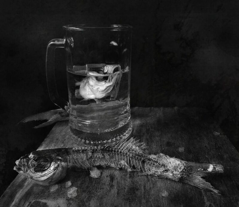 Да, голова глупа. Она не знает курса.photo preview