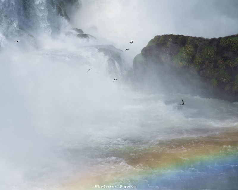 Игуасуphoto preview