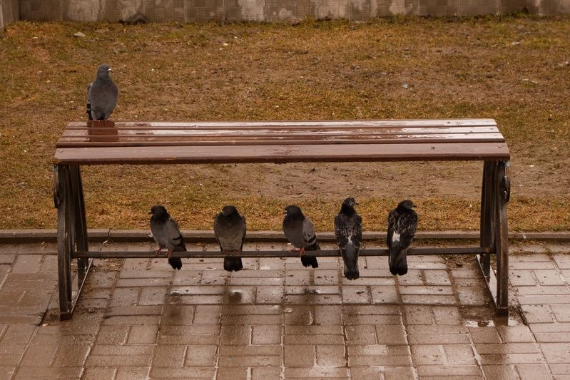 Непогодаphoto preview