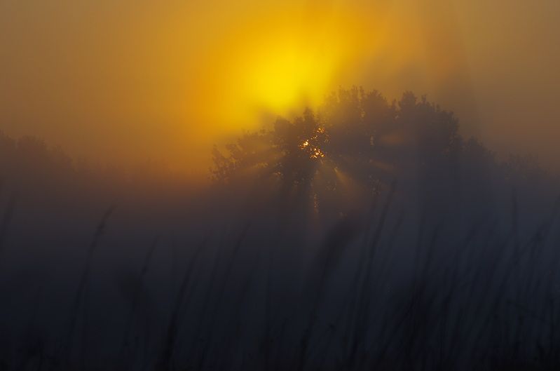 Утренний светphoto preview