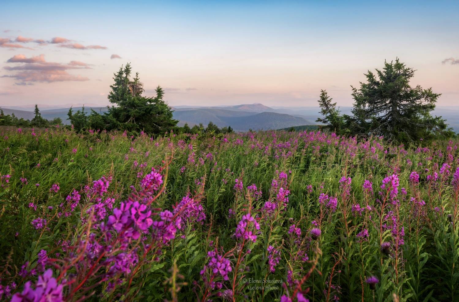 чувал, горы, закат, урал, Соколова Елена