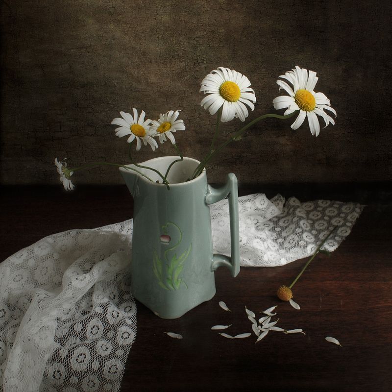 ромашки, цветы Про ромашкиphoto preview