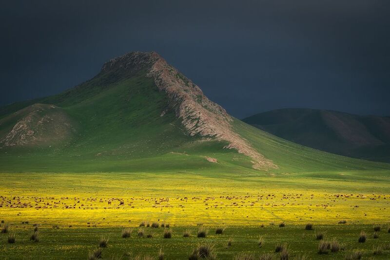 весна горы цветение кеген каркара После дождяphoto preview