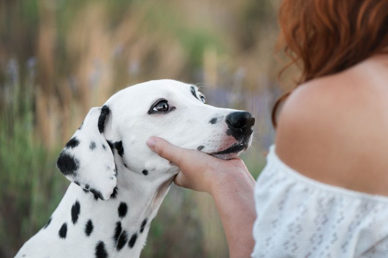 Взглядphoto preview