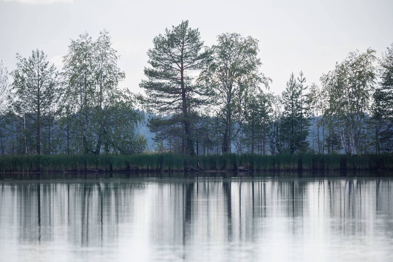 , ssmirs Сергей