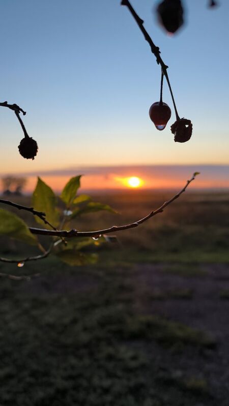 закат пейзаж Закатphoto preview