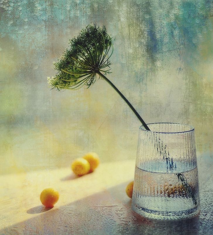 натюрморт,цветок,морковь,лето,стакан цветок морковки...photo preview