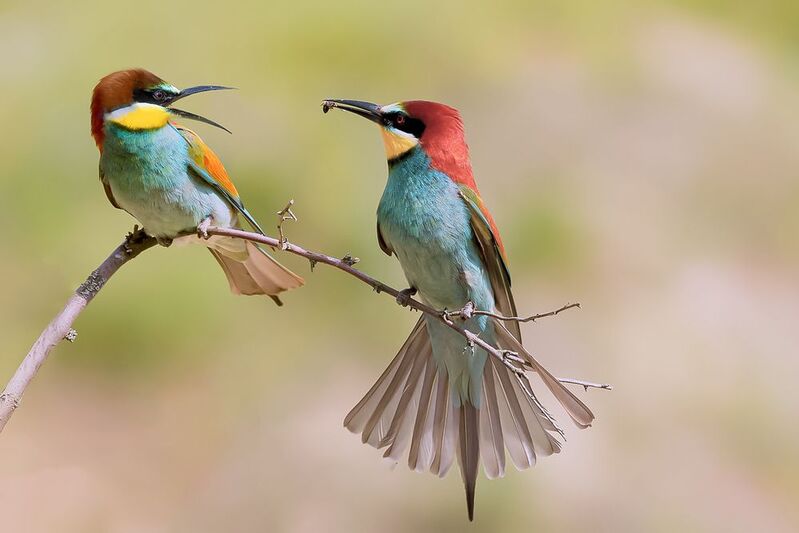 природа Давай уже!photo preview