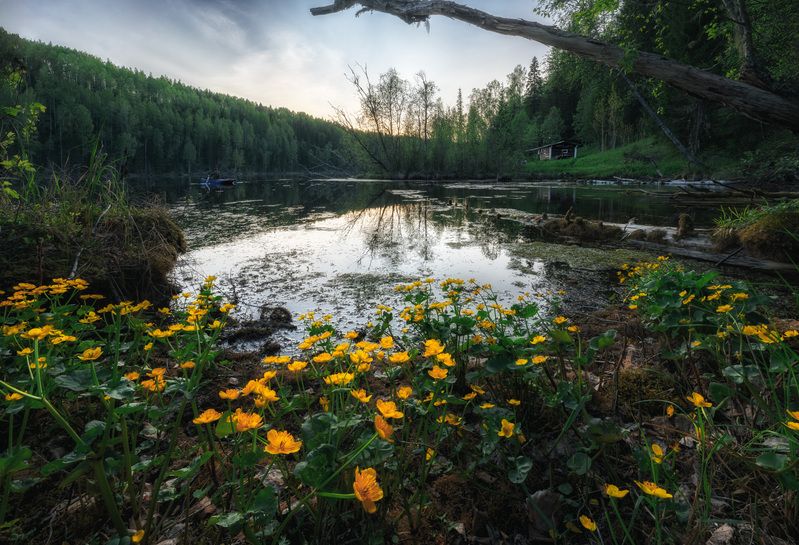 Кальозеро. Архангельская областьphoto preview