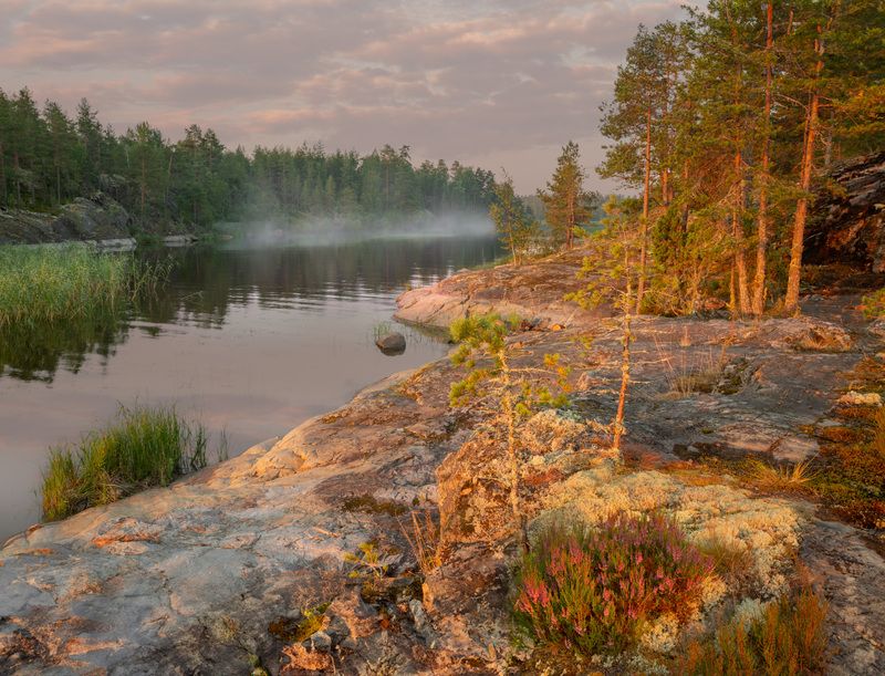 Фототуры с Владимиром Рябковым, #topnature #russpasibo #magic_shots #lovelyRussia #sunset_vision #exclusive_sky  #exclusive_shots #loves_russia2 #photoarena_nature #nature_sultans #nature_perfection #rsa_sky #rsa_sunset #photorussia #rsa_naturepics #sunse Утром на протоке. фото превью