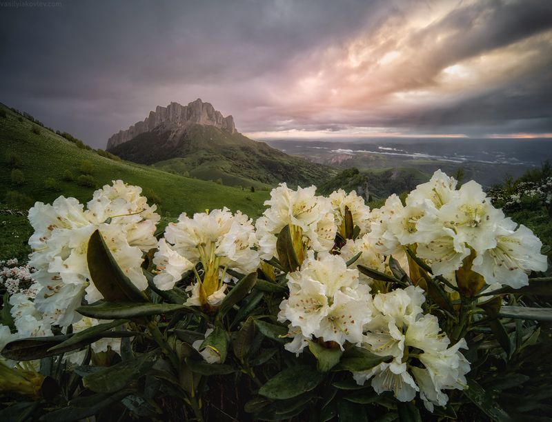 тхач, большой тхач, фототур, яковлевфототур, кавказ, адыгея Большой Тхачphoto preview