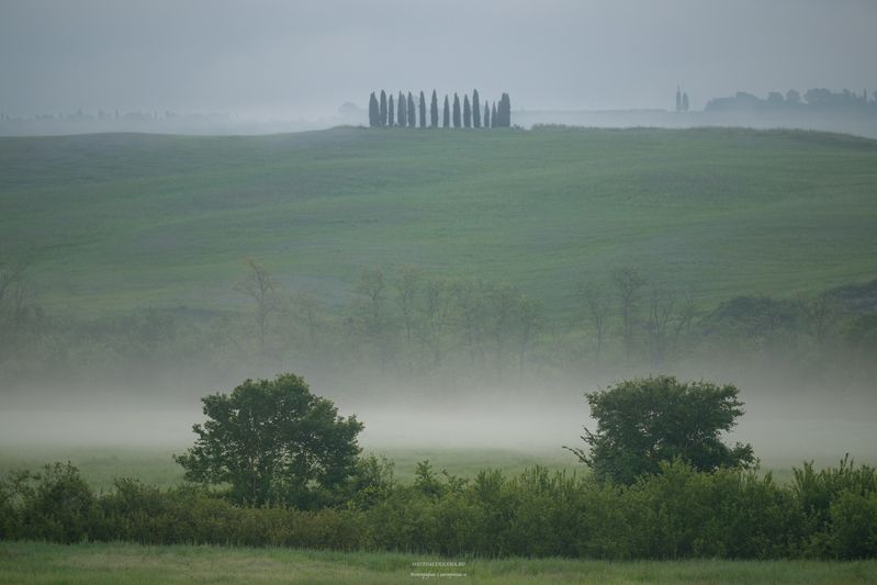 Тоскана, туман, италия, утро, кипарисы, пейзаж Утро туманноеphoto preview