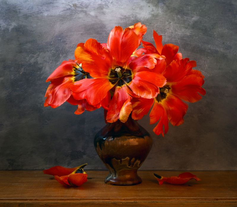 Красные тюльпаны.photo preview