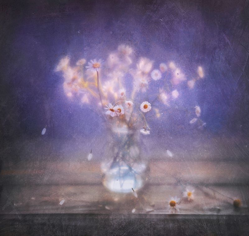 натюрморт, лето, букет, цветы, луг, still life, flowers, summer  Растрепавшийся букет photo preview