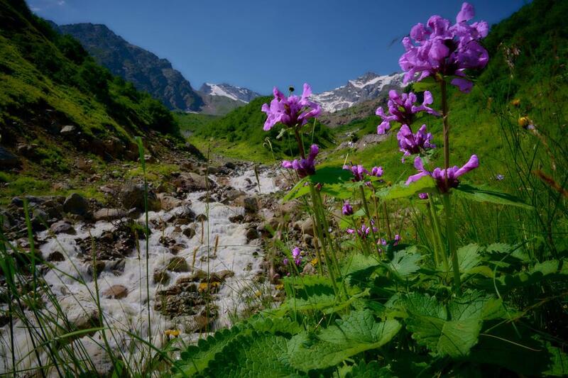 Сказочная Дигория (из серии).photo preview