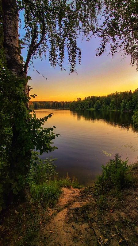 Костромской крайphoto preview