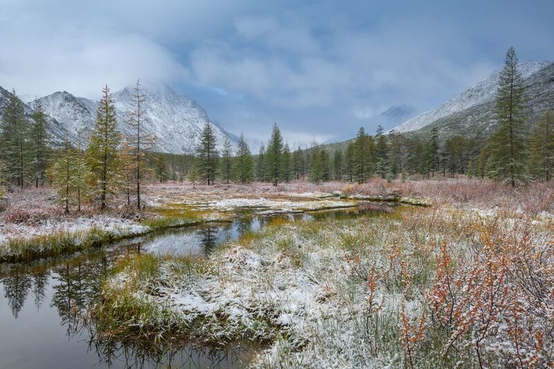 озеро джека лондона Снежное утро...photo preview