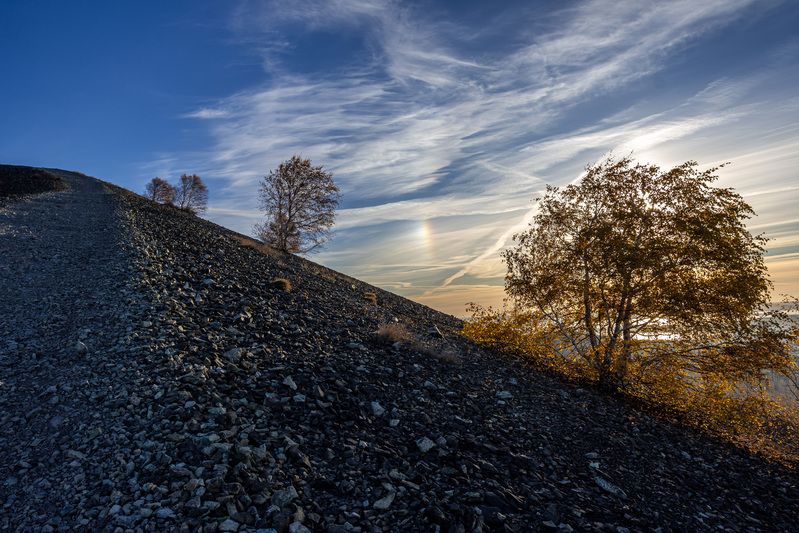 *******photo preview