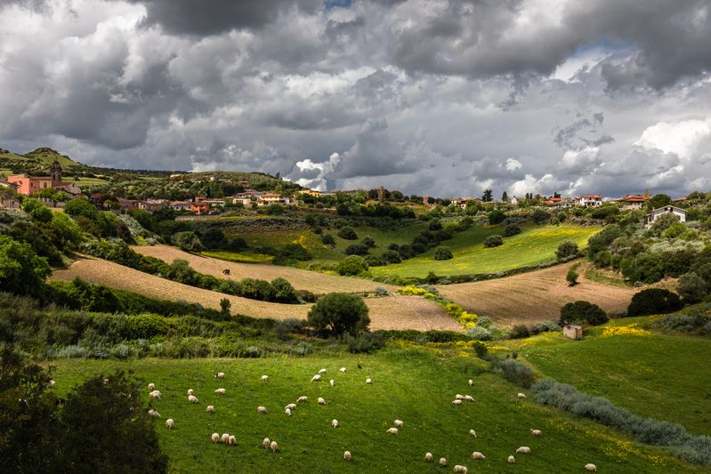 Sardiniaphoto preview