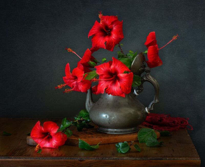 *Майское цветение гибискусаphoto preview