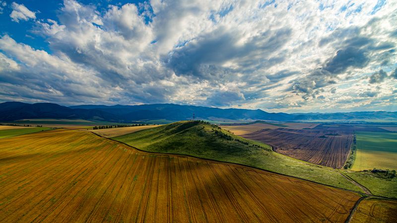 поля алтая Поля в предгорьях Алтаяphoto preview