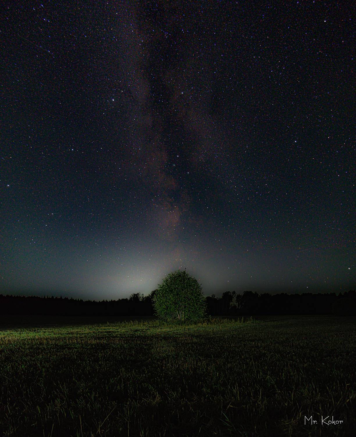 , Кокорин Алексей