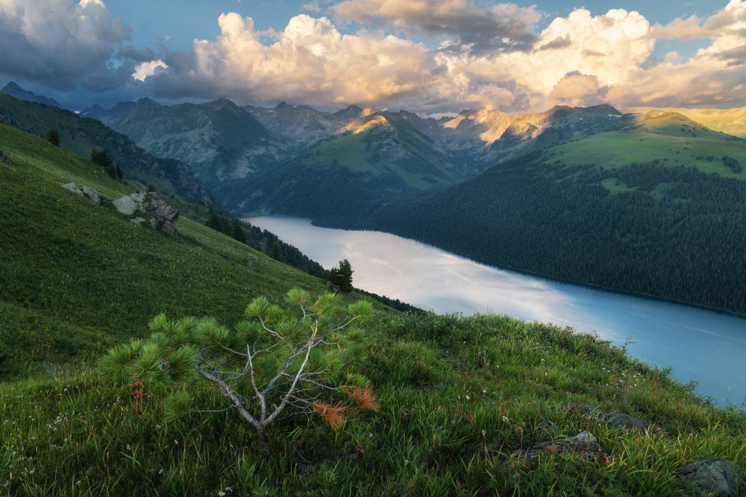 алтай, горный алтай, пейзажи алтая, усть-коксинский район, горное озеро, озера алтая, горы, озеро, тайменье, тайменное, летний алтай, катунский заповедник, катунский хребет, Рубан Елена