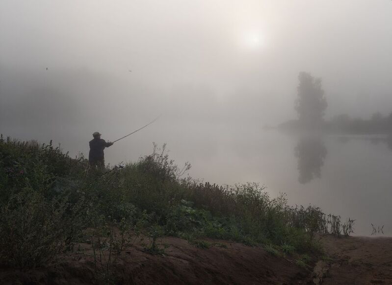 лес, свет, утро, природа рыбак ***photo preview