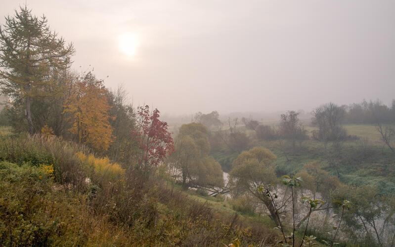утро, над водой, туман, восход солнца, утренний свет,сентябрь, осень, каспля, смоленская область, россия, пейзаж, landskape, nature, river, fog, morning, dawn утро туманное фото превью