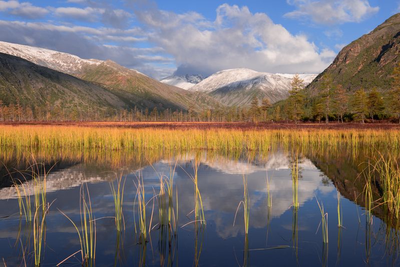 озеро джека лондона Спокойно сегодня на болотах...photo preview