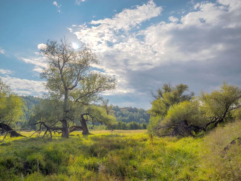 в пойме Большого Кизилаphoto preview