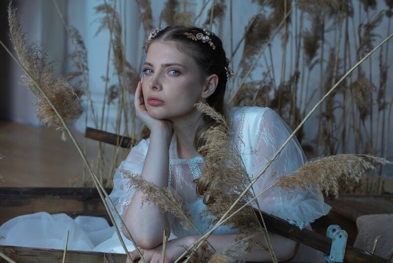 Камыши фото превью