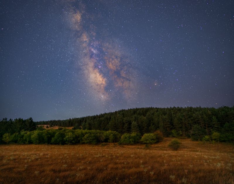 #milkyway, #landscape Milky Way Over Didgori Forestsphoto preview