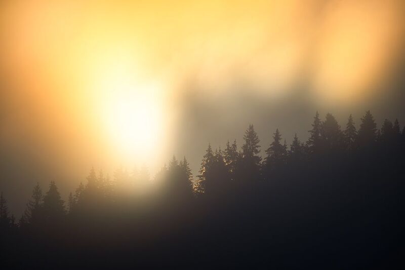 Утро на Койве фото превью