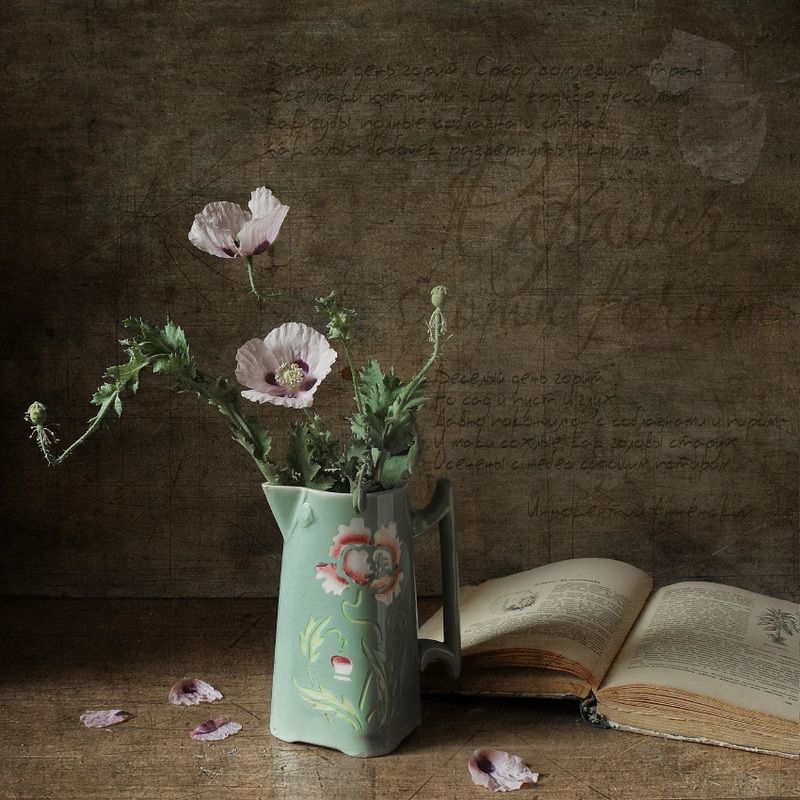 мак, цветы, лето, кувшинчик Papaverphoto preview