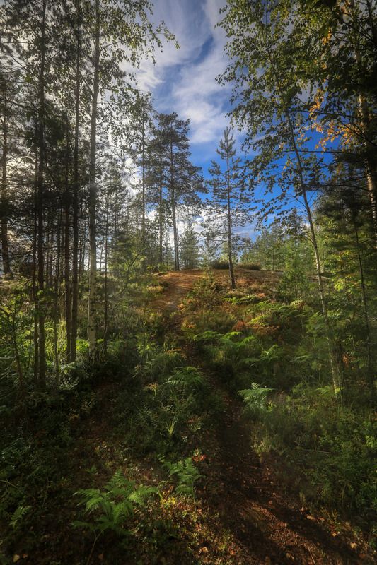 После дождяphoto preview