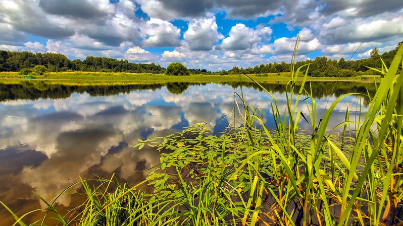 Костромской край: на водеphoto preview