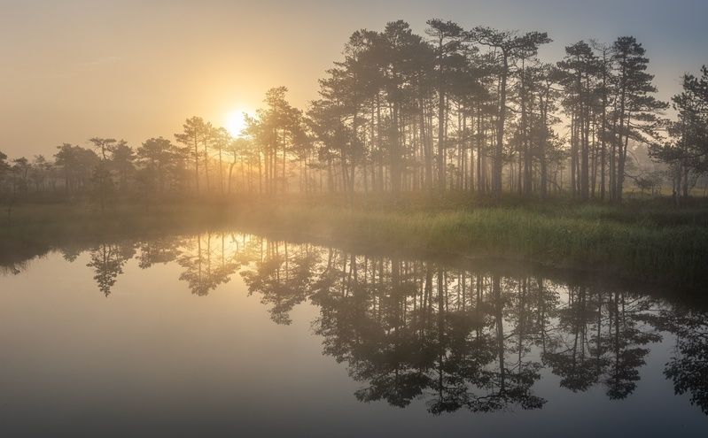 Рассветный рядphoto preview