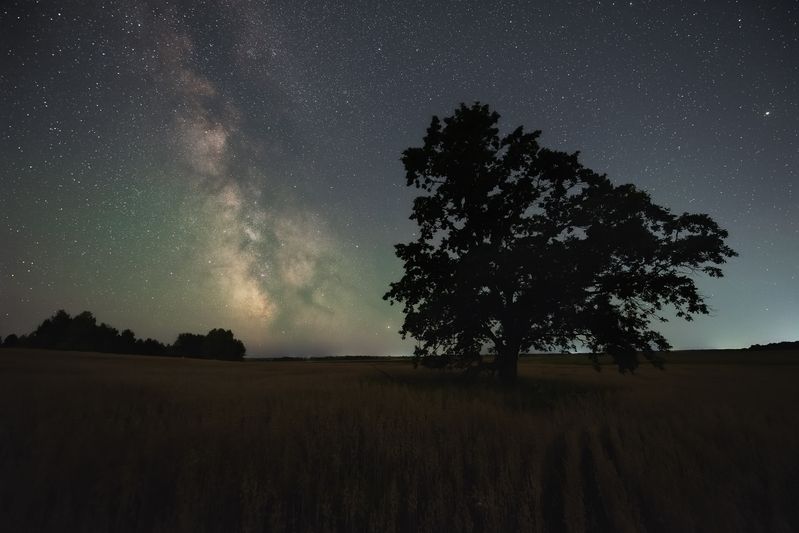 Летней ночью в полеphoto preview