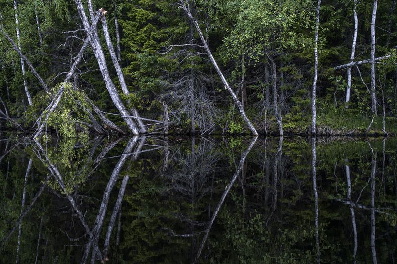 соловки, соловецкие острова, канал Симметрияphoto preview