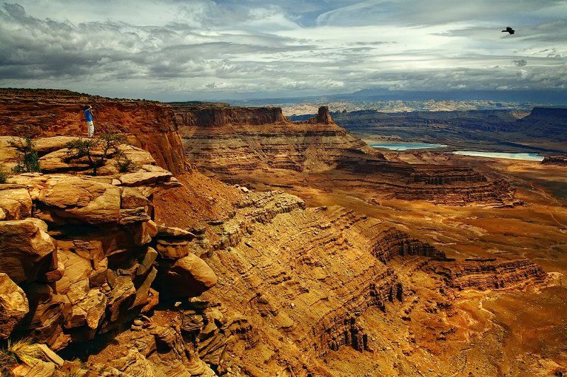 Фотоохотник.photo preview