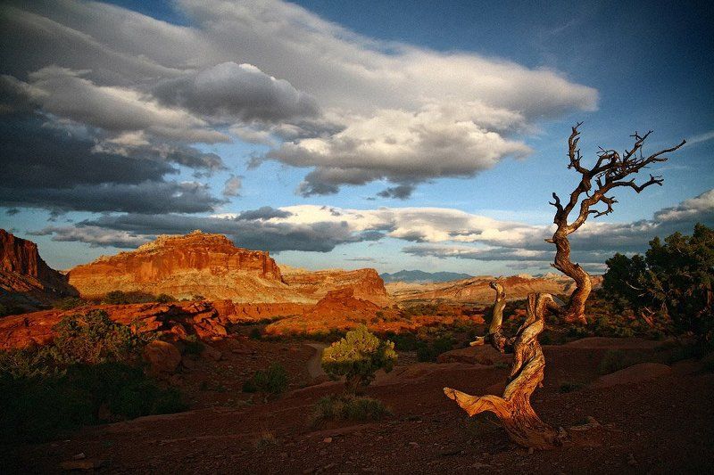 Жизнь скрутила.photo preview