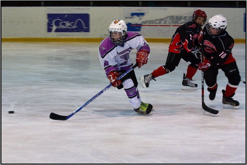 хоккей, спорт В хокей играют настоящие мужчиныphoto preview