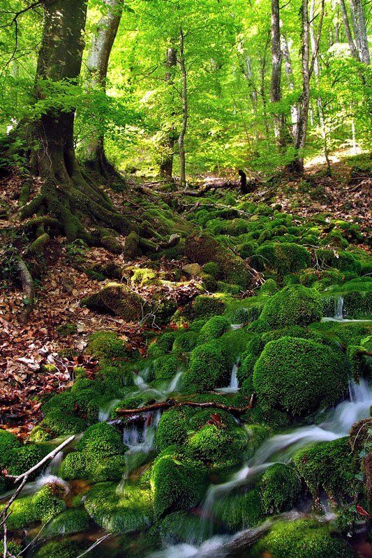 крым, хапхал, джурджур Родникphoto preview